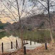 ヒメ日記 2026/03/04 00:14 投稿 紺藤 十恋人～トレンド～