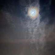 ヒメ日記 2026/03/08 16:44 投稿 紺藤 十恋人～トレンド～