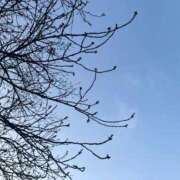 ヒメ日記 2026/03/20 01:04 投稿 紺藤 十恋人～トレンド～