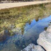 ヒメ日記 2026/03/24 13:37 投稿 ゆきね 艶熟妻 京都店