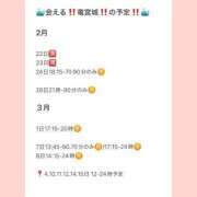 ヒメ日記 2026/02/22 11:20 投稿 おとひめ 川崎ソープ SAPPHIER -サファイア-