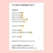 ヒメ日記 2026/04/29 19:57 投稿 おとひめ 川崎ソープ SAPPHIER -サファイア-