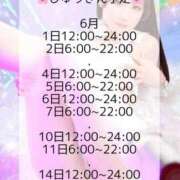 みはる 🌸6月前半の出勤予定🌸 川崎ソープ SAPPHIER -サファイア-
