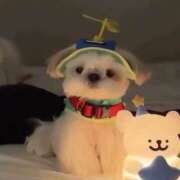 ヒメ日記 2026/02/28 18:54 投稿 ちる 川崎ソープ SAPPHIER -サファイア-