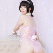 ヒメ日記 2026/04/30 15:47 投稿 ギンガ 川崎ソープ SAPPHIER -サファイア-
