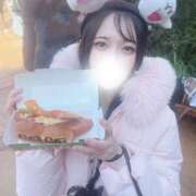 ヒメ日記 2026/02/19 11:07 投稿 ななせ 川崎ソープ SAPPHIER -サファイア-