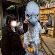 ヒメ日記 2026/03/28 16:07 投稿 ぽぽ 川崎ソープ SAPPHIER -サファイア-