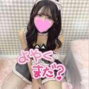 ヒメ日記 2026/02/19 03:04 投稿 ふうか 川崎ソープ SAPPHIER -サファイア-