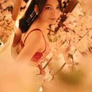 ヒメ日記 2026/04/05 23:23 投稿 つばき 川崎ソープ SAPPHIER -サファイア-