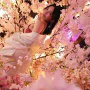 ヒメ日記 2026/05/02 12:17 投稿 つばき 川崎ソープ SAPPHIER -サファイア-