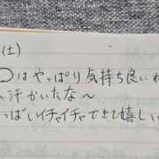 ヒメ日記 2026/02/21 20:28 投稿 のら 川崎ソープ SAPPHIER -サファイア-