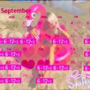 ヒメ日記 2026/08/28 19:57 投稿 ひなた 川崎ソープ SAPPHIER -サファイア-