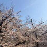 工藤もも お花見のあとは…わたしと？🌸 エルドール