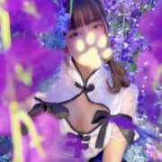 ヒメ日記 2026/04/02 20:17 投稿 こむぎ 川崎ソープ SAPPHIER -サファイア-