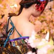 ヒメ日記 2026/04/05 11:56 投稿 こむぎ 川崎ソープ SAPPHIER -サファイア-