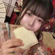 ヒメ日記 2026/04/12 12:19 投稿 こむぎ 川崎ソープ SAPPHIER -サファイア-