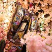ヒメ日記 2026/04/18 10:57 投稿 こむぎ 川崎ソープ SAPPHIER -サファイア-