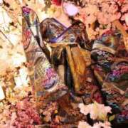 ヒメ日記 2026/04/19 08:22 投稿 こむぎ 川崎ソープ SAPPHIER -サファイア-