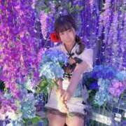 ヒメ日記 2026/05/07 12:19 投稿 こむぎ 川崎ソープ SAPPHIER -サファイア-