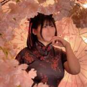 ヒメ日記 2026/03/15 12:08 投稿 あやせ 川崎ソープ SAPPHIER -サファイア-