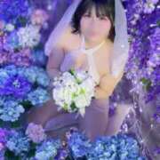 ヒメ日記 2026/04/15 17:19 投稿 あやせ 川崎ソープ SAPPHIER -サファイア-