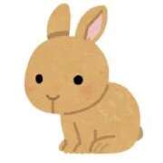 ヒメ日記 2026/03/30 13:48 投稿 まい 川崎ソープ SAPPHIER -サファイア-