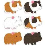 まい 💌 川崎ソープ SAPPHIER -サファイア-