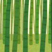 ヒメ日記 2026/05/12 13:11 投稿 まい 川崎ソープ SAPPHIER -サファイア-