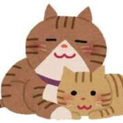 まい 💌 川崎ソープ SAPPHIER -サファイア-