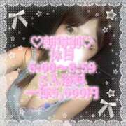 ヒメ日記 2026/03/14 16:57 投稿 らて 川崎ソープ SAPPHIER -サファイア-