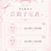 ヒメ日記 2026/08/25 22:17 投稿 りんか 川崎ソープ SAPPHIER -サファイア-