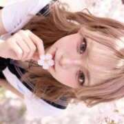 ヒメ日記 2026/05/19 19:37 投稿 ひより 川崎ソープ SAPPHIER -サファイア-