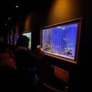 ヒメ日記 2026/02/12 18:34 投稿 ひまわり しろわい 仙台店