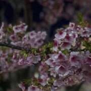 ヒメ日記 2026/02/28 22:59 投稿 さら オナクラ大人女子