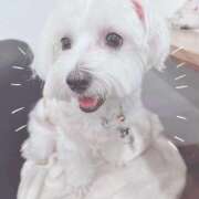 ヒメ日記 2026/02/18 08:47 投稿 しずく 川崎ソープ SAPPHIER -サファイア-