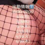 ヒメ日記 2026/04/01 14:30 投稿 ひする 川崎ソープ SAPPHIER -サファイア-