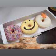 ヒメ日記 2026/04/13 21:27 投稿 ひする 川崎ソープ SAPPHIER -サファイア-