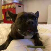 ヒメ日記 2026/02/15 01:18 投稿 ほむら 熟女の風俗最終章 高崎店