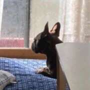 ヒメ日記 2026/02/15 20:08 投稿 ほむら 熟女の風俗最終章 高崎店