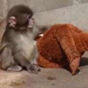 ヒメ日記 2026/03/04 12:08 投稿 ほむら 熟女の風俗最終章 高崎店