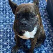 ヒメ日記 2026/04/08 11:48 投稿 ほむら 熟女の風俗最終章 高崎店