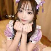 せいか☆REGULAR ドキドキする時💓 Club ACE ～クラブエース～ 山口店