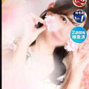 ヒメ日記 2026/04/11 16:42 投稿 月乃 澪 KOBE GOLD