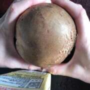 ヒメ日記 2026/02/22 19:48 投稿 夏目/M性感 回春性感メンズエステ猫の手 大垣／羽島