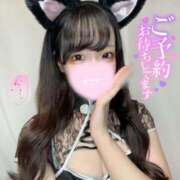 ヒメ日記 2026/02/14 08:14 投稿 モカ MEGA PALACE(メガパレス）