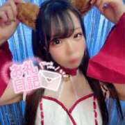 ヒメ日記 2026/02/14 19:03 投稿 モカ MEGA PALACE(メガパレス）