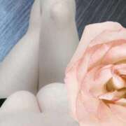 ヒメ日記 2026/02/17 08:54 投稿 すずか 熟女の風俗最終章 仙台店