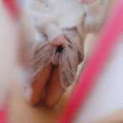 ヒメ日記 2026/03/18 14:13 投稿 ゆいか★洗練された圧倒的美貌★ Bell～S級美女お姉様・人妻デリヘル～