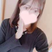 ヒメ日記 2026/03/25 15:32 投稿 ゆいか★洗練された圧倒的美貌★ Bell～S級美女お姉様・人妻デリヘル～