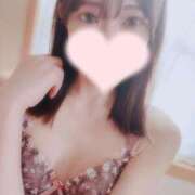 ヒメ日記 2026/04/14 12:22 投稿 ゆいか★洗練された圧倒的美貌★ Bell～S級美女お姉様・人妻デリヘル～